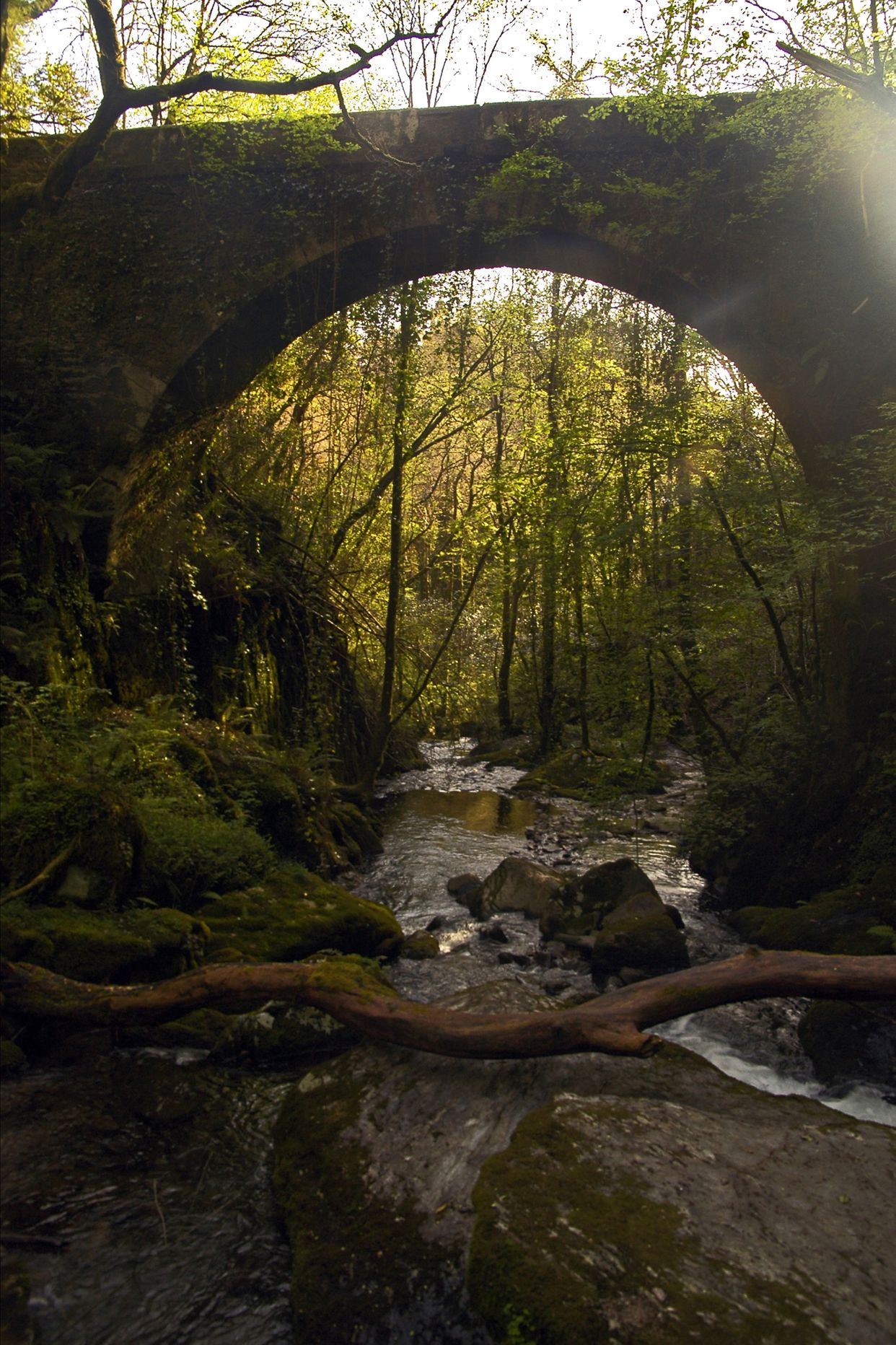 Fragas do Eume Bridge