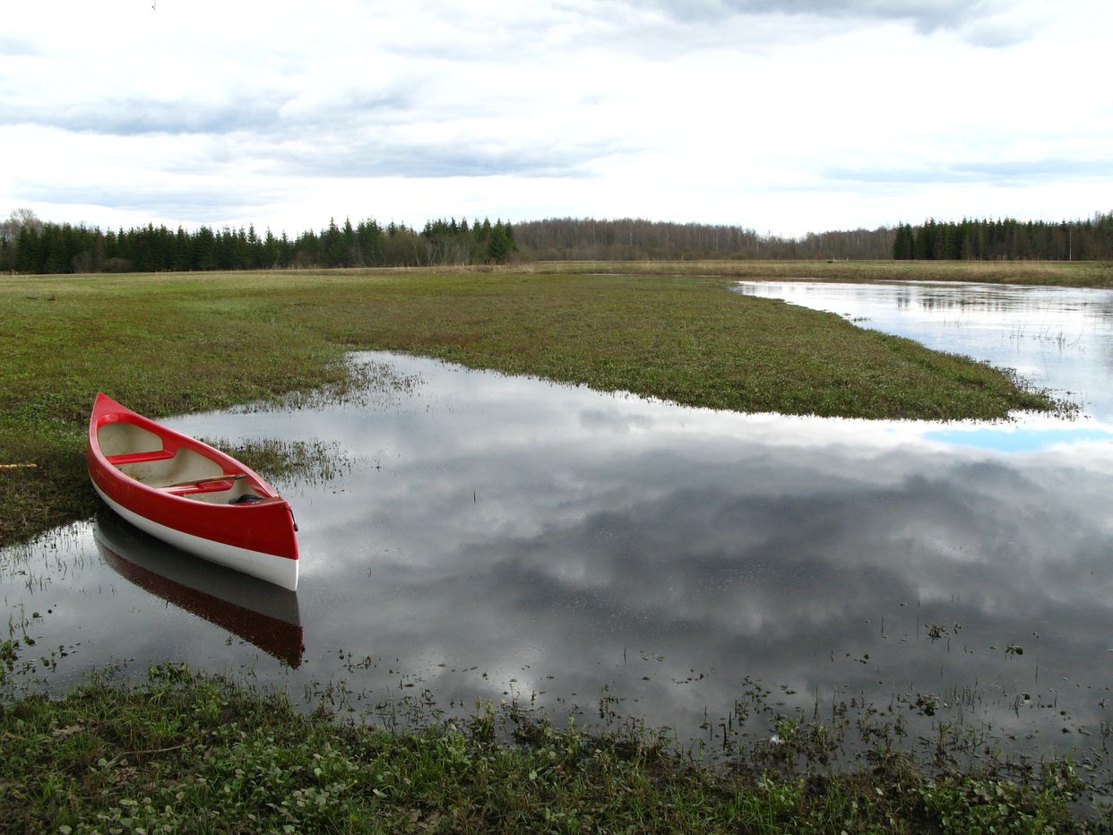 Soomaa National Park