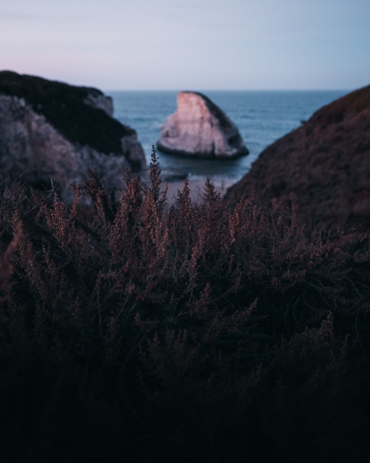 Photo by adamatorres.com