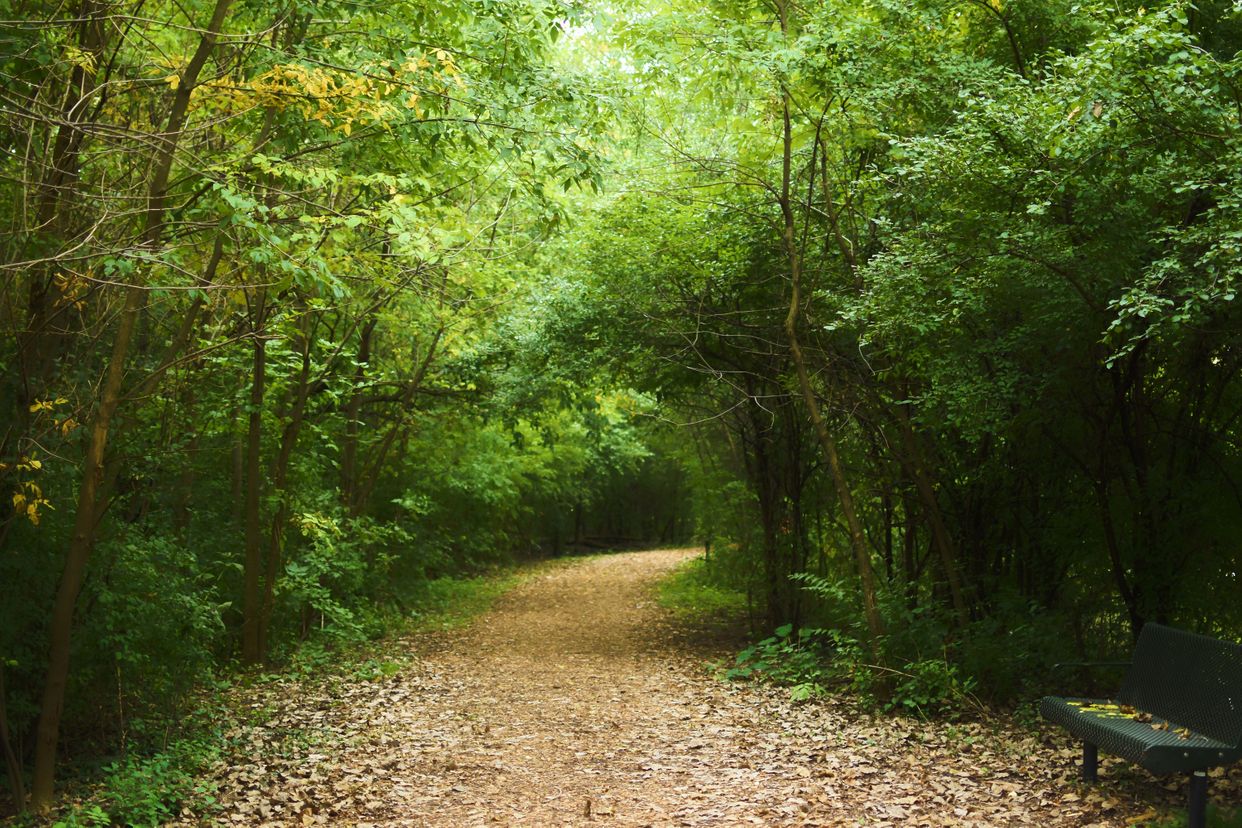 Sleepy Hollow Park