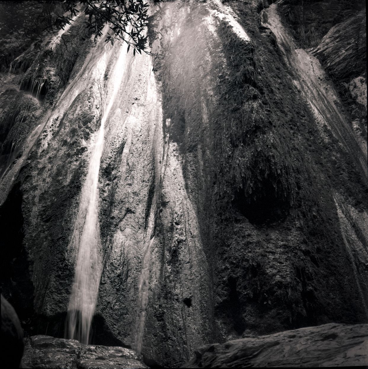 Los Padres National Forest