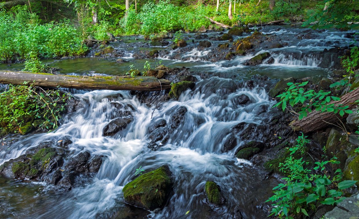 Sawkill Creek Cascade
