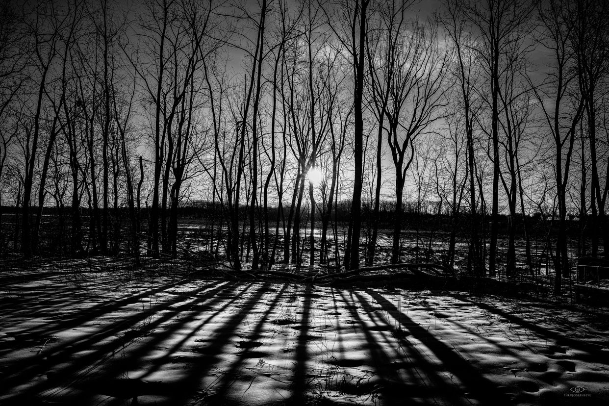 Mentor Lagoons Nature Preserve