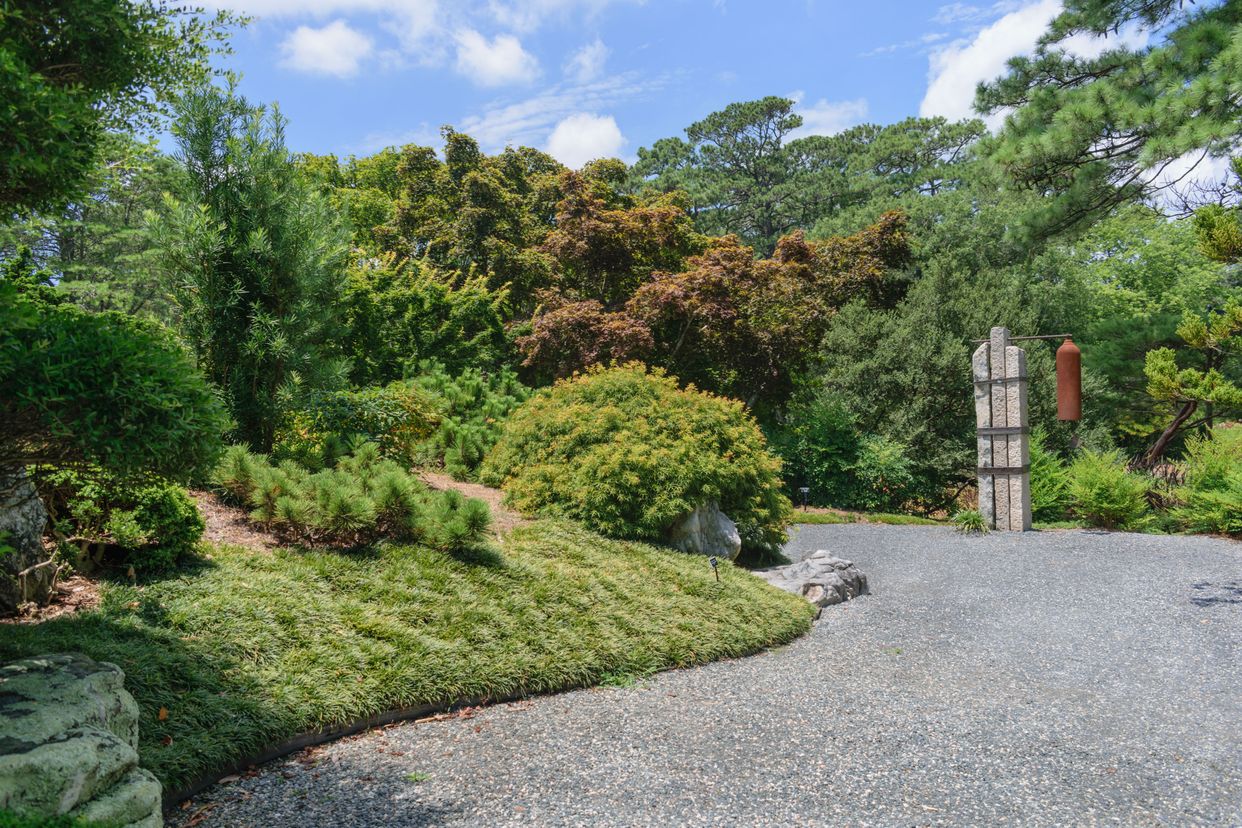  Norfolk Botanical Garden