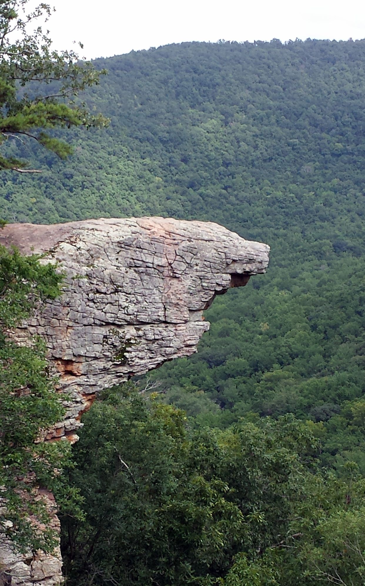 Hawksbill Crag Trail