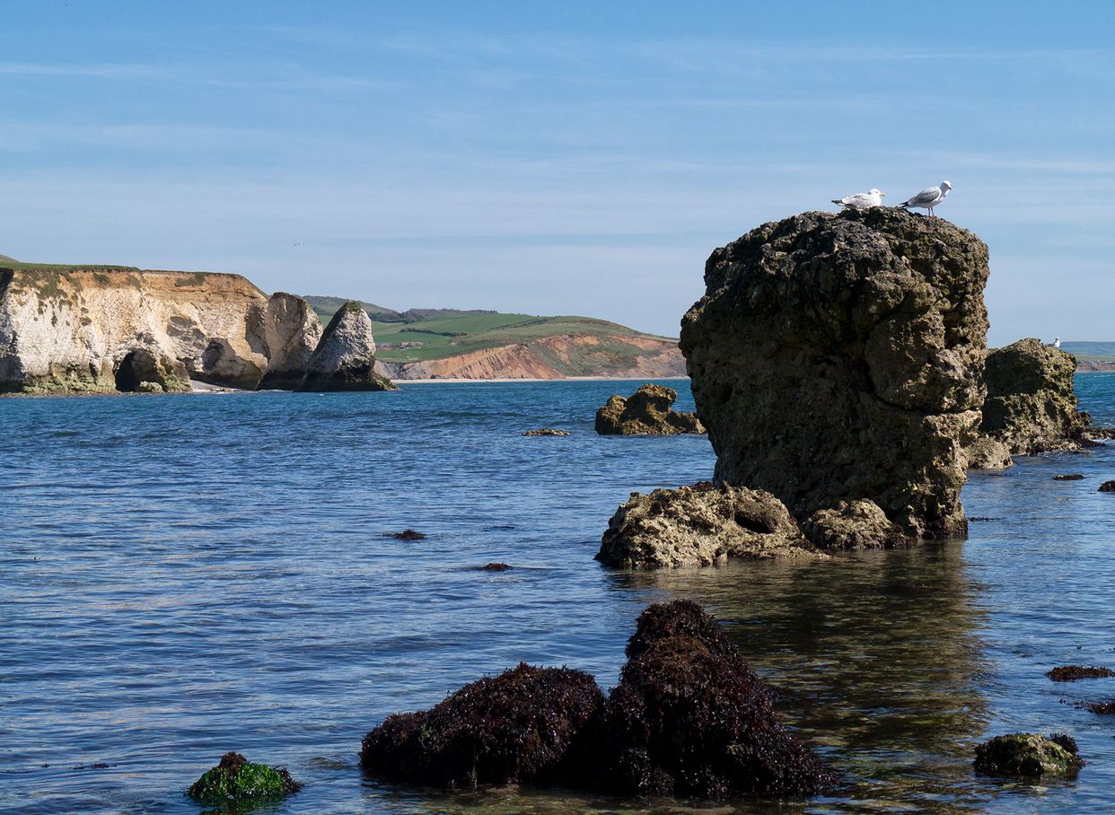 Freshwater Bay