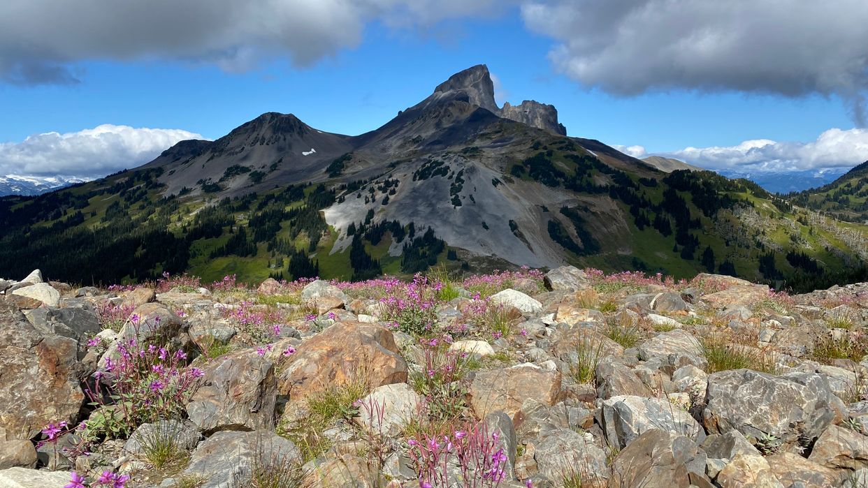 Panorama Ridge Trail