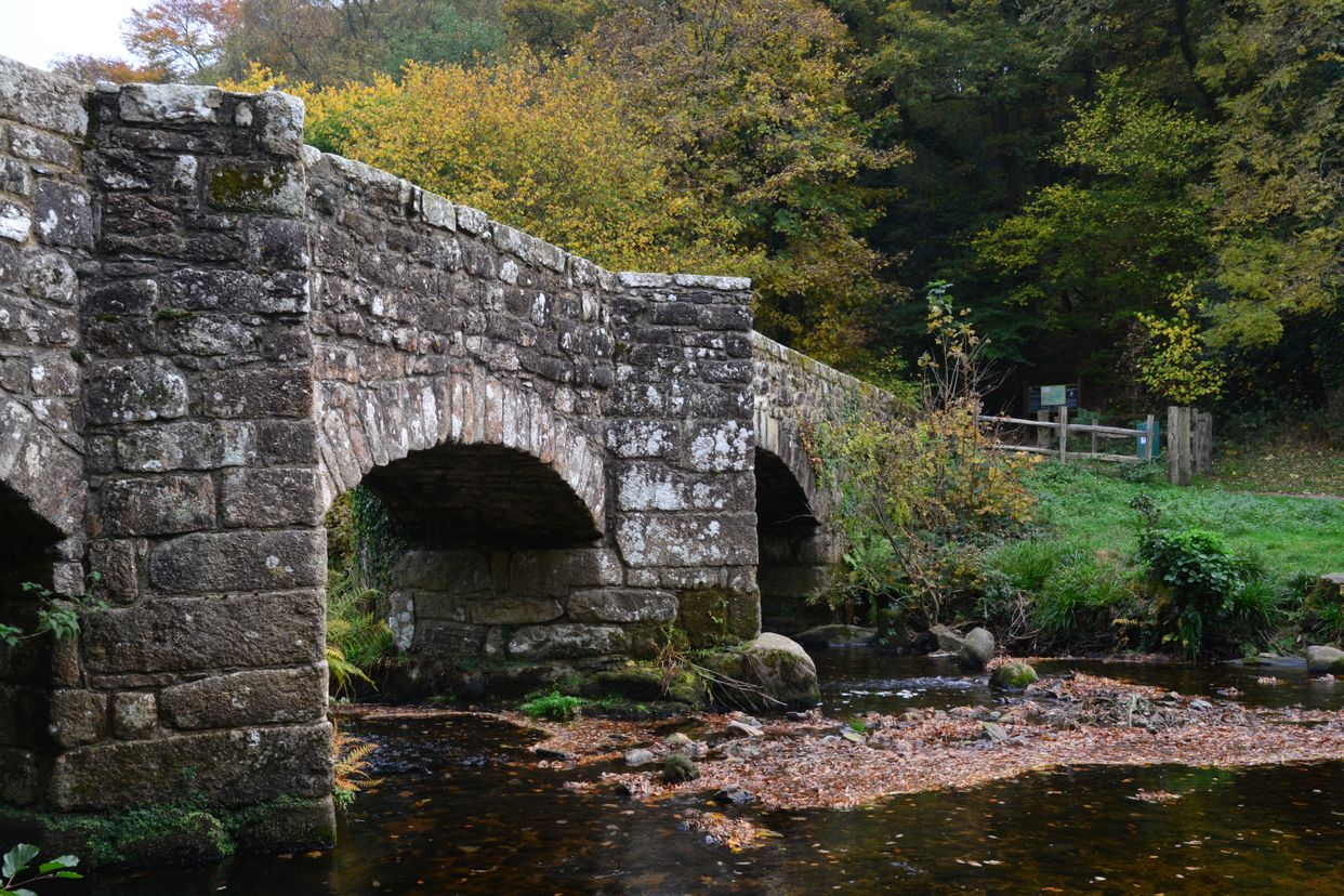 Fingle Bridge