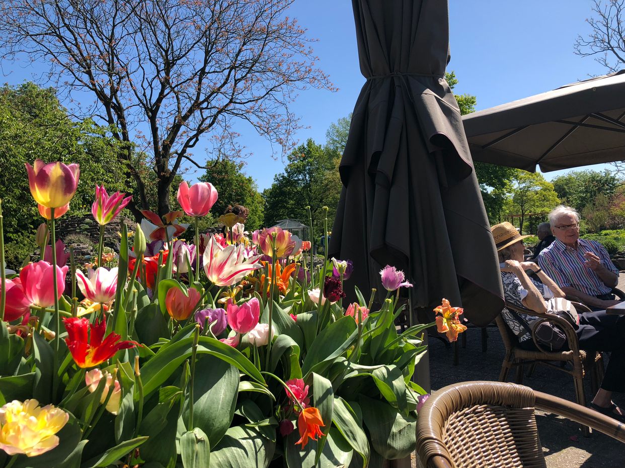Botanic Gardens Utrecht