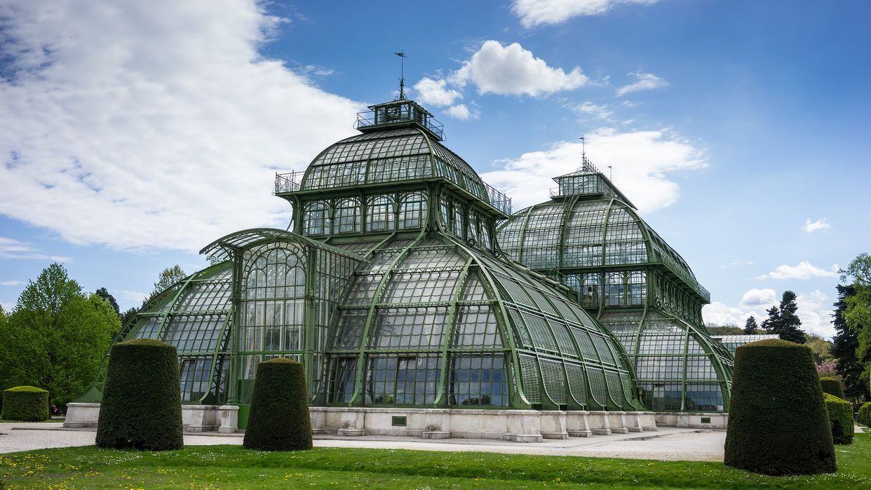 Palmenhaus 