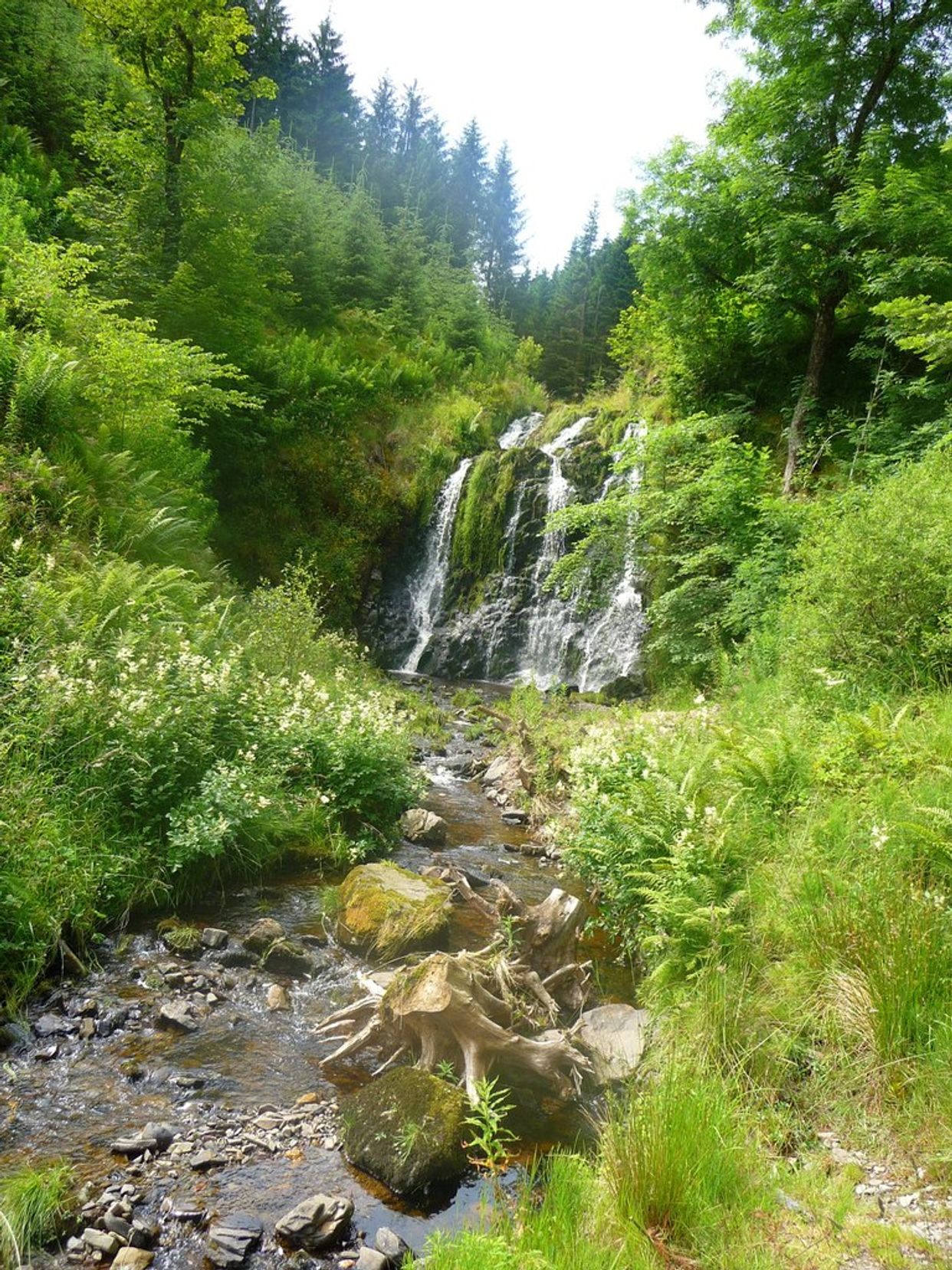 Wolfcleuch Waterfall