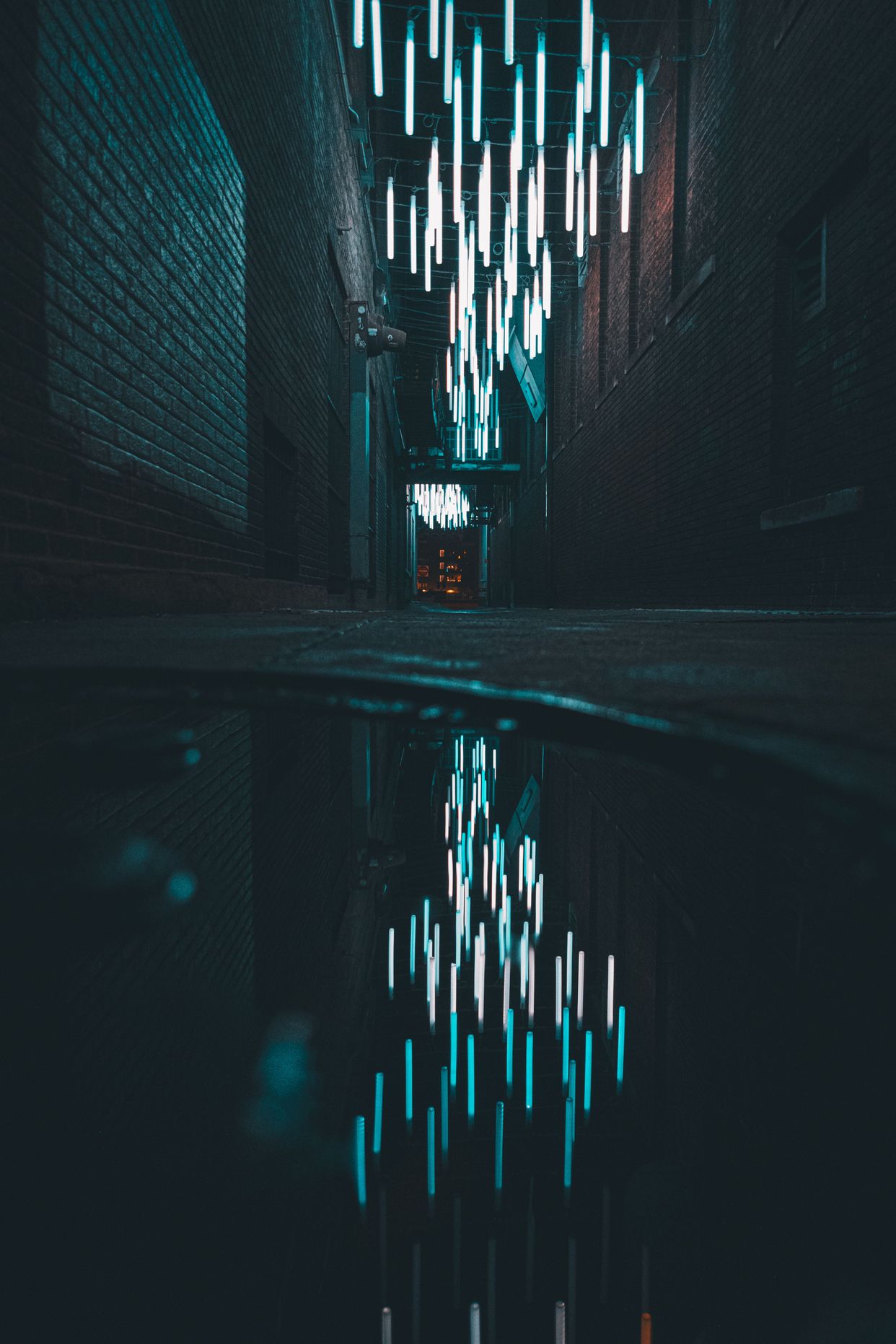 Alley of Lights