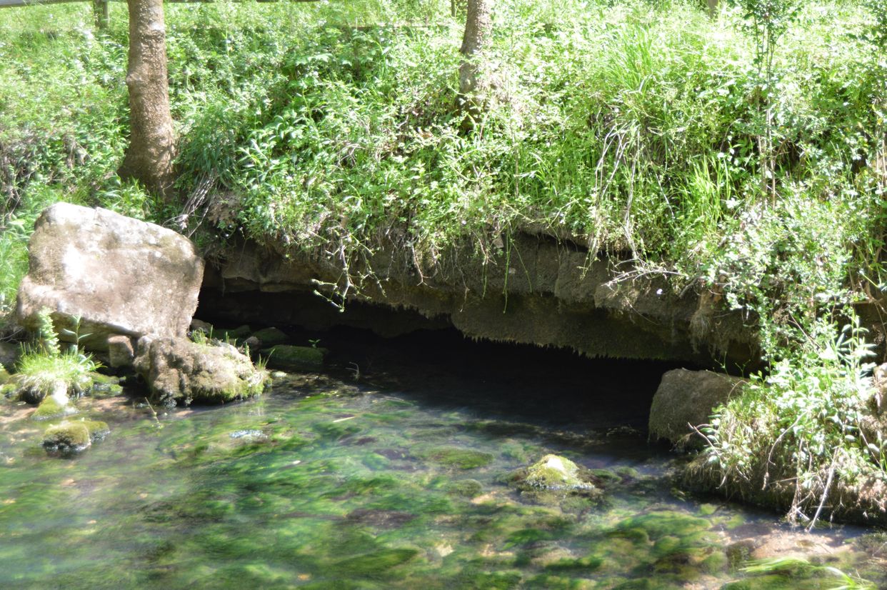 Buzzard Roost Spring