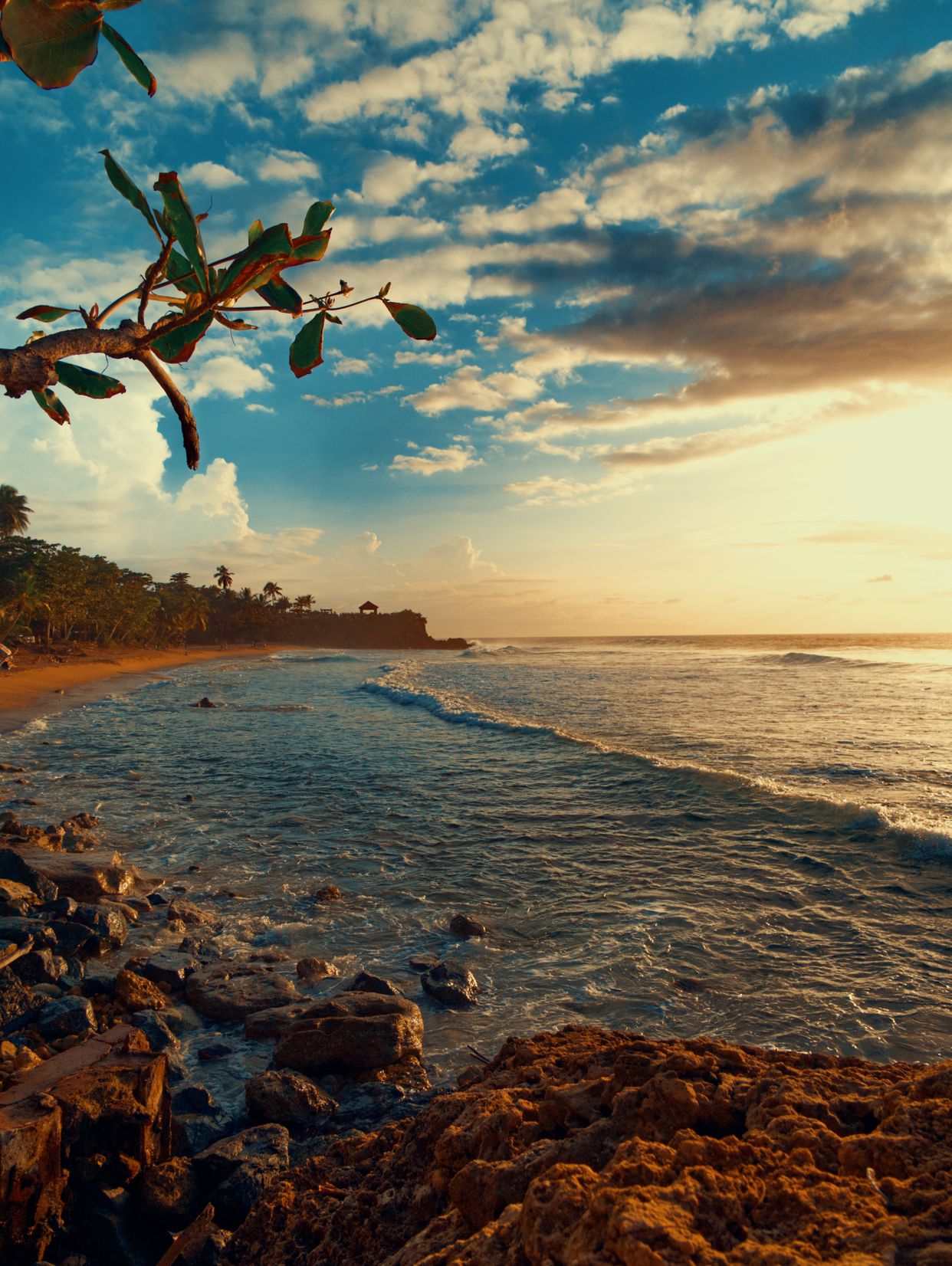 Playa Domes
