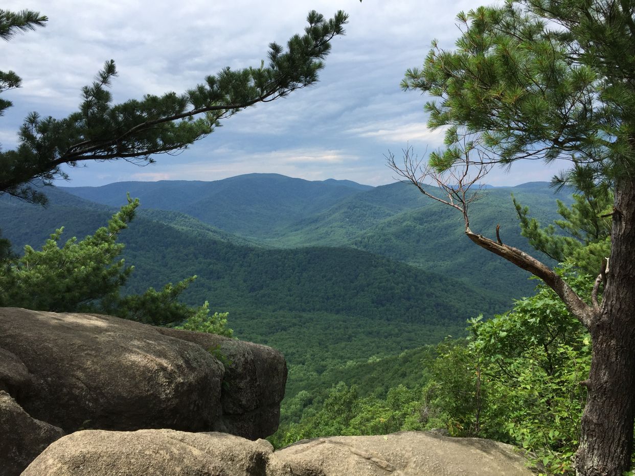 Ridge Trail
