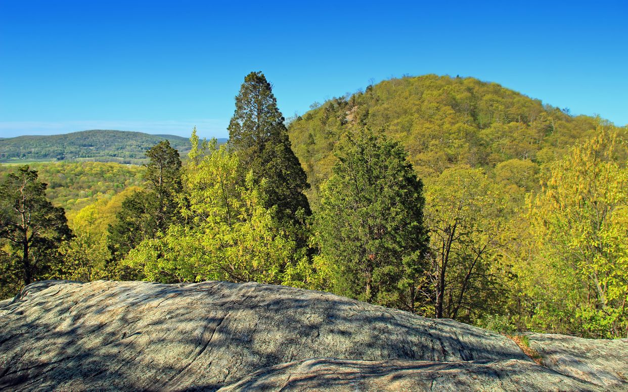 Jenny Jump Mountain View