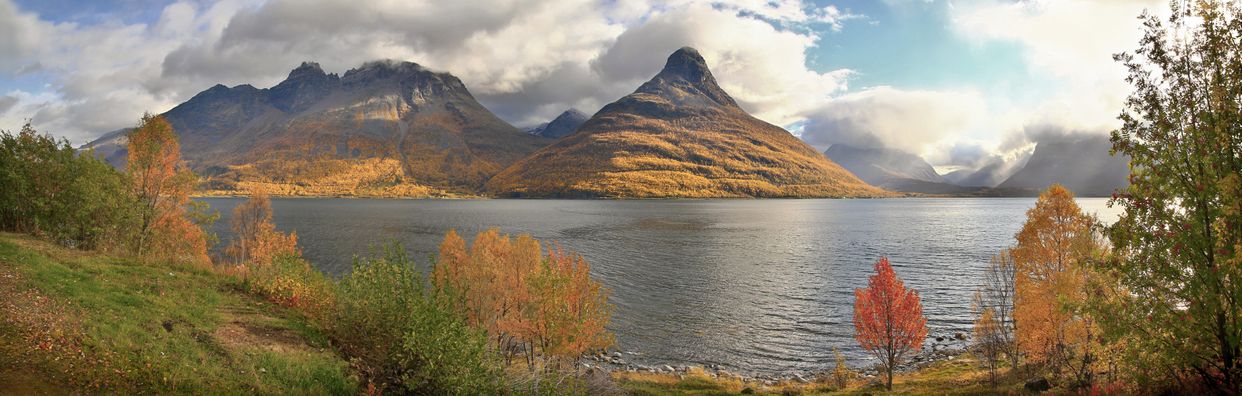 Storfjorden Viewpoint