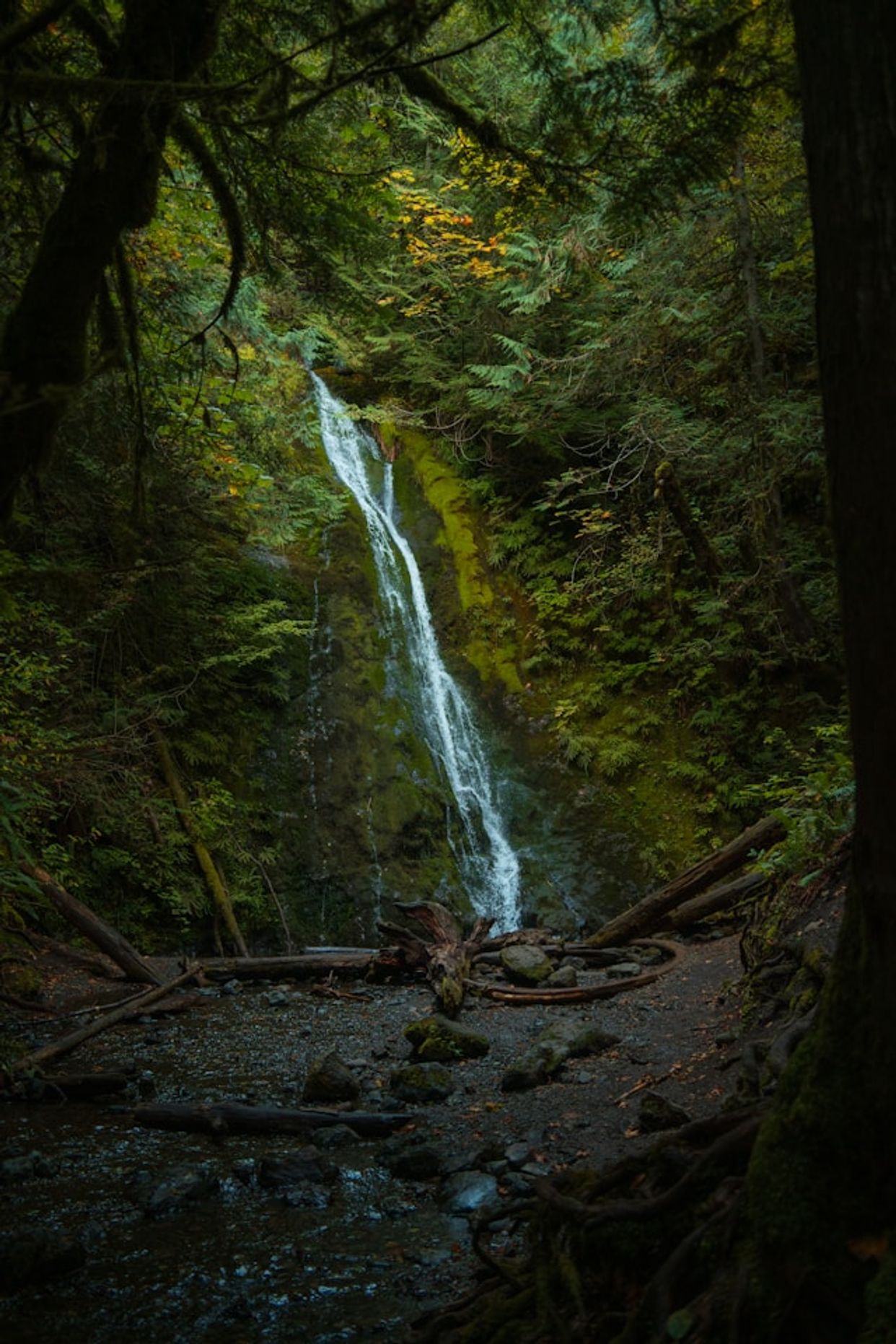 Madison Creek Falls