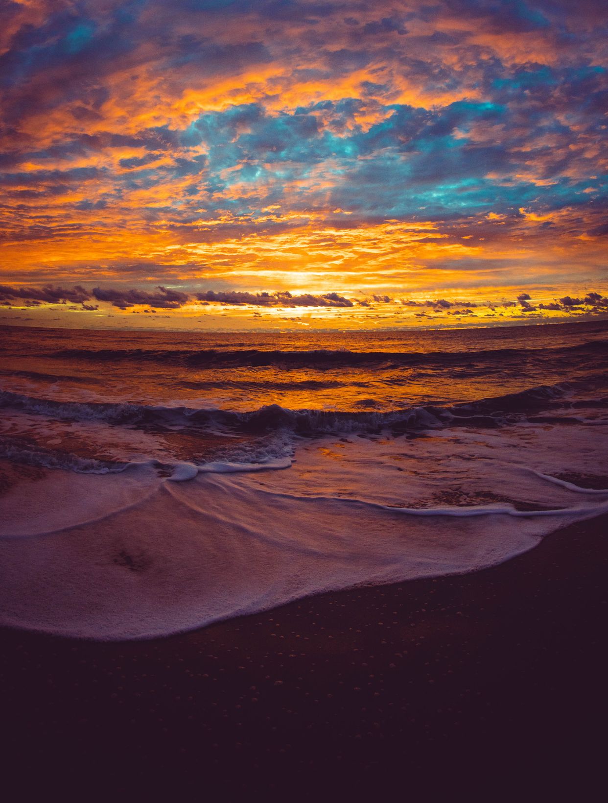 Assateague Island National Seashore