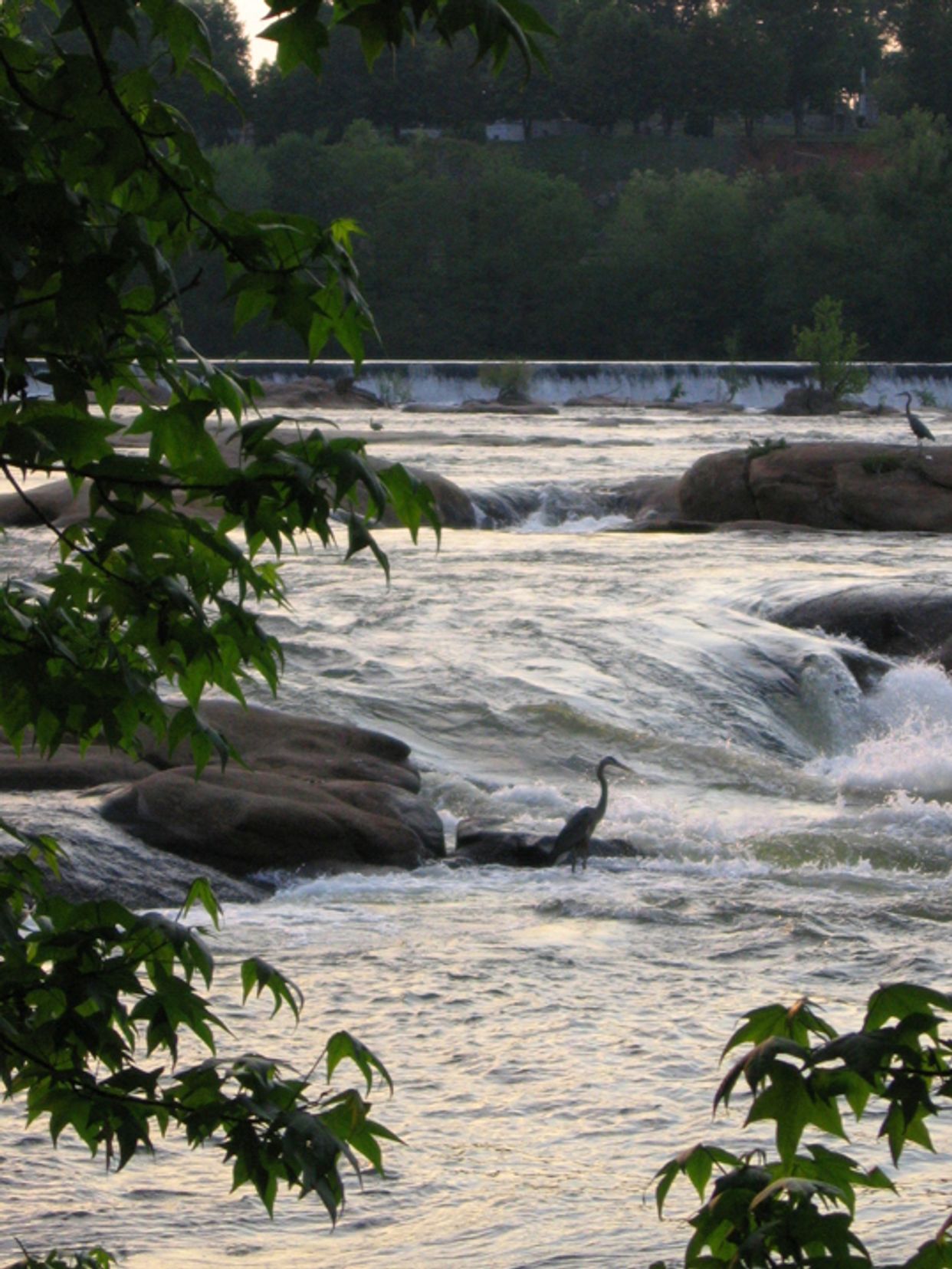Belle Isle North Shore