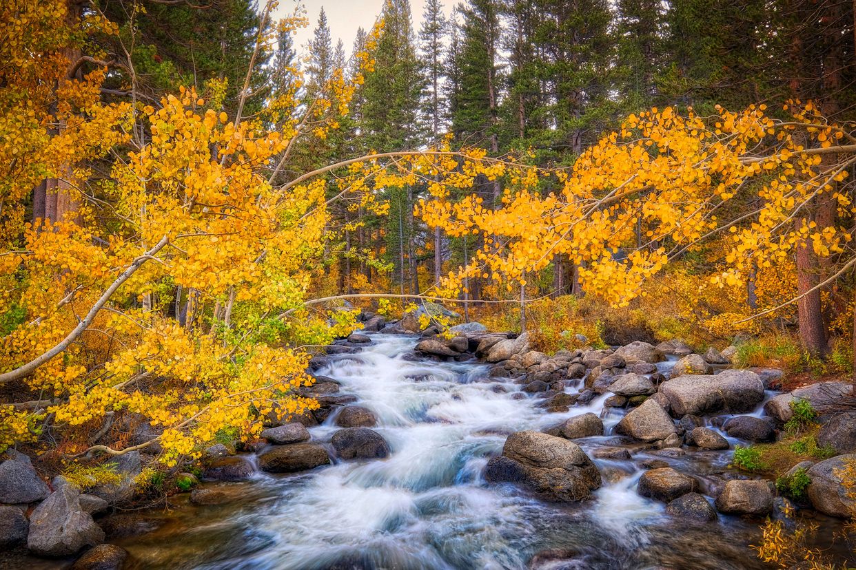 South Fork Bishop Creek