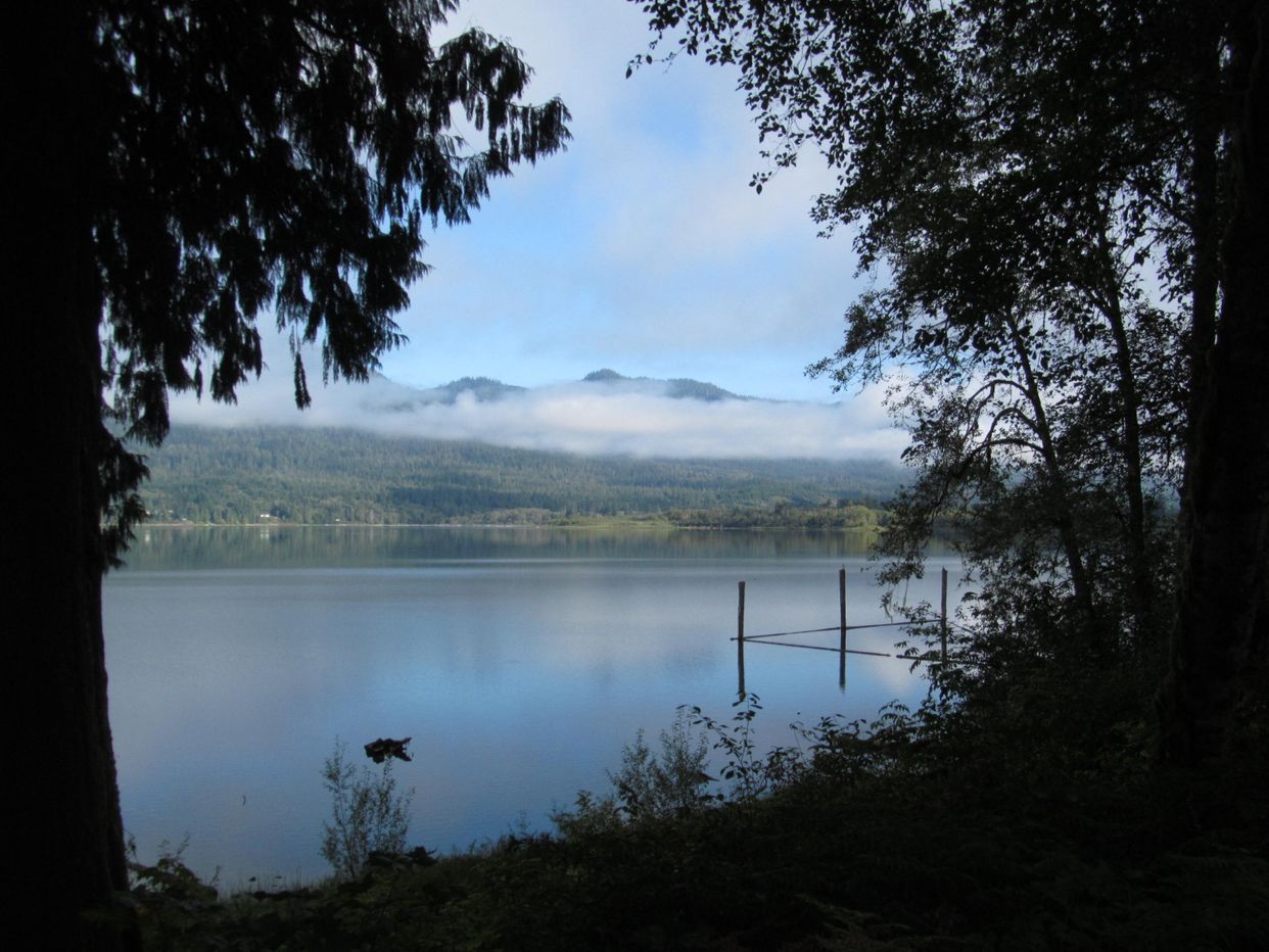 Lake Quinault