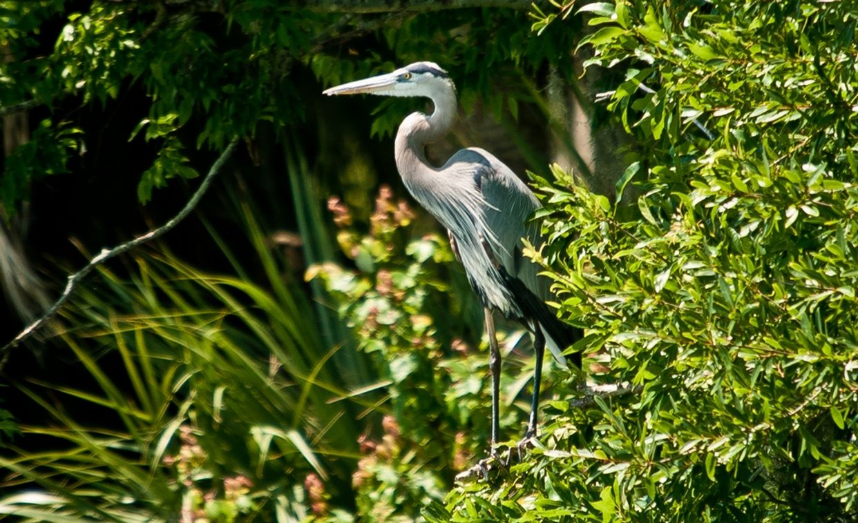 Circle B Bar Reserve