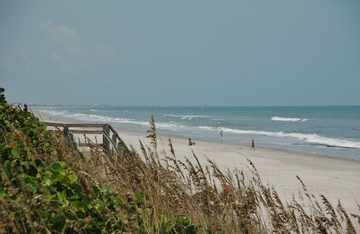 Canova Beach Park