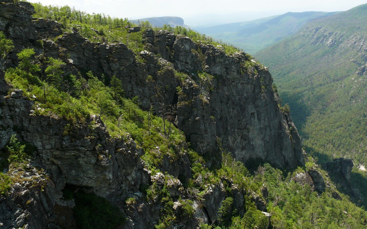 North Carolina Wal