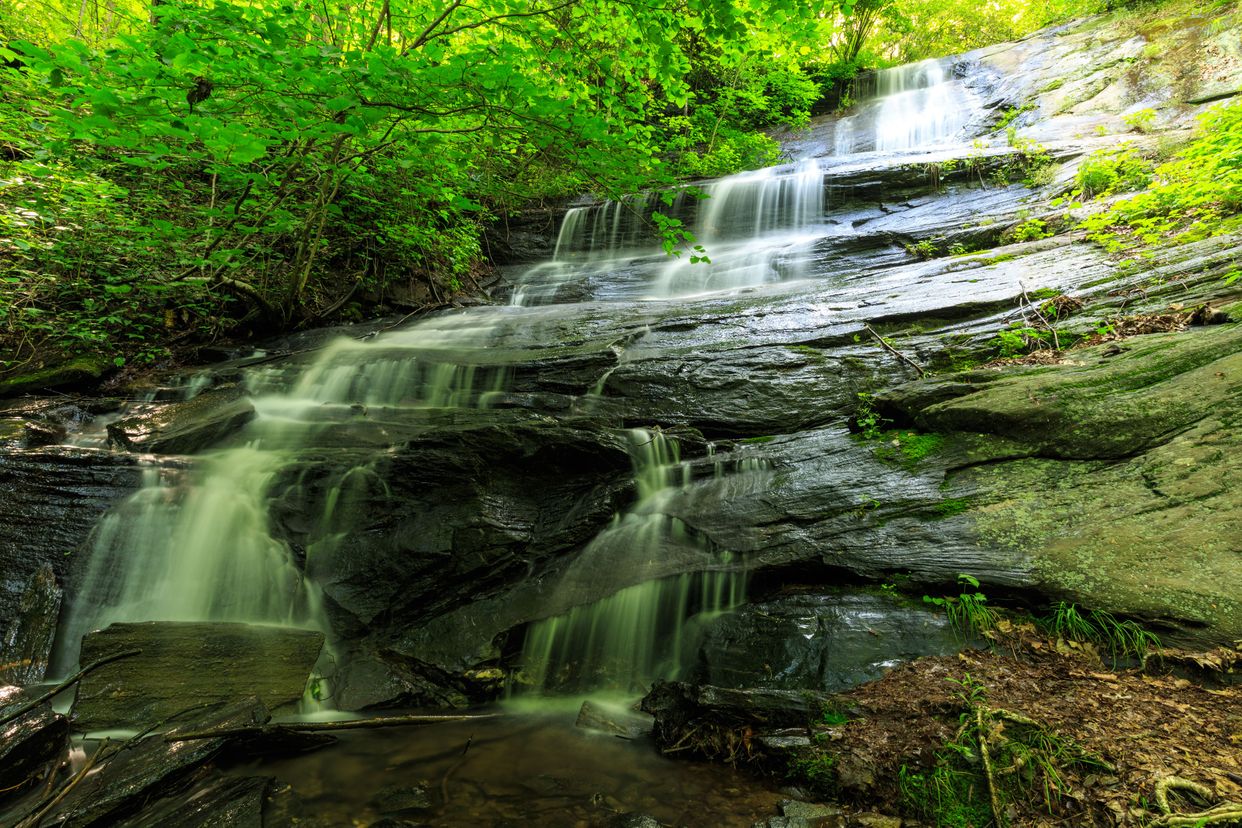 Barnett Branch Trail Waterfall