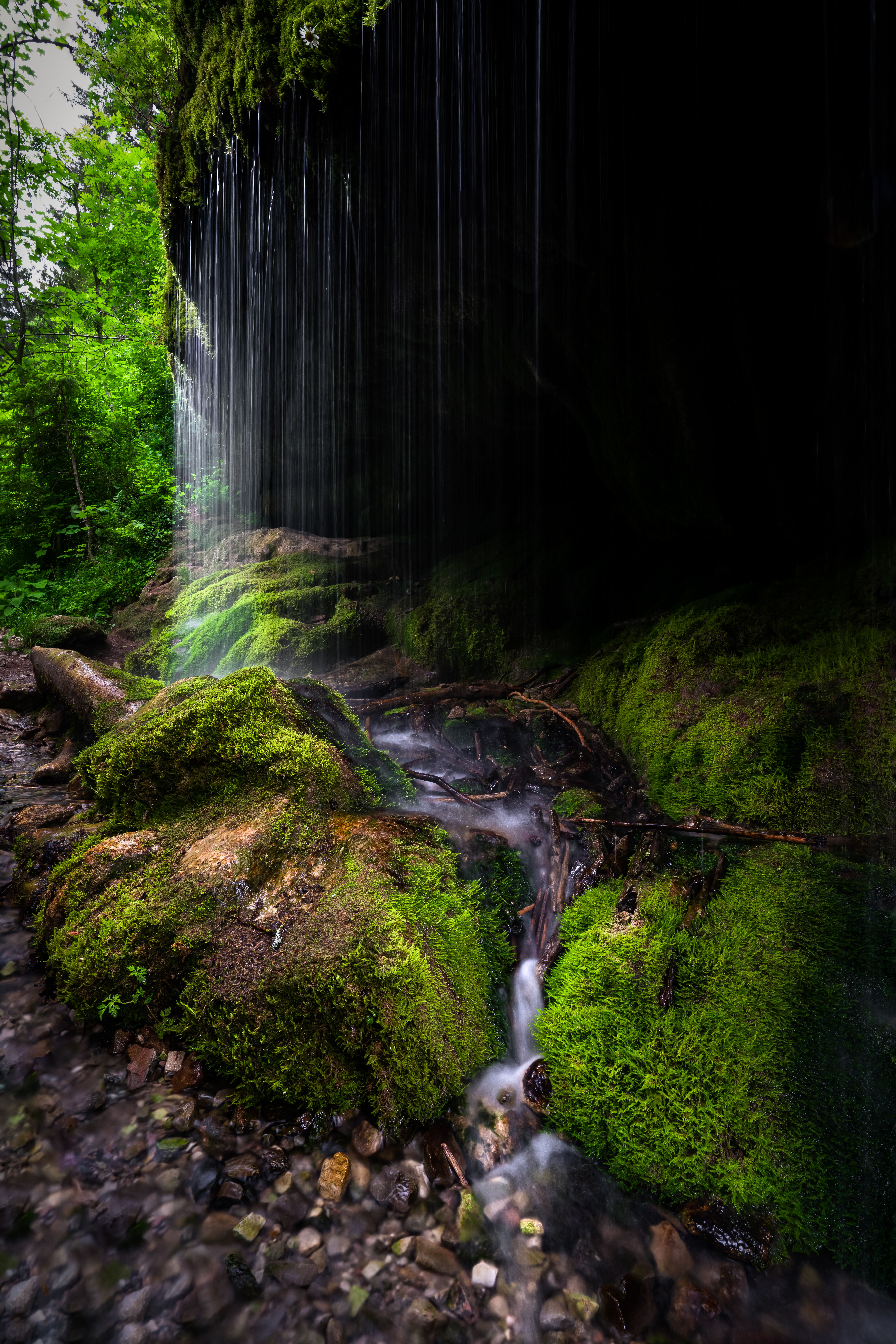 Wutach Gorge — Photo by bart.cocquart