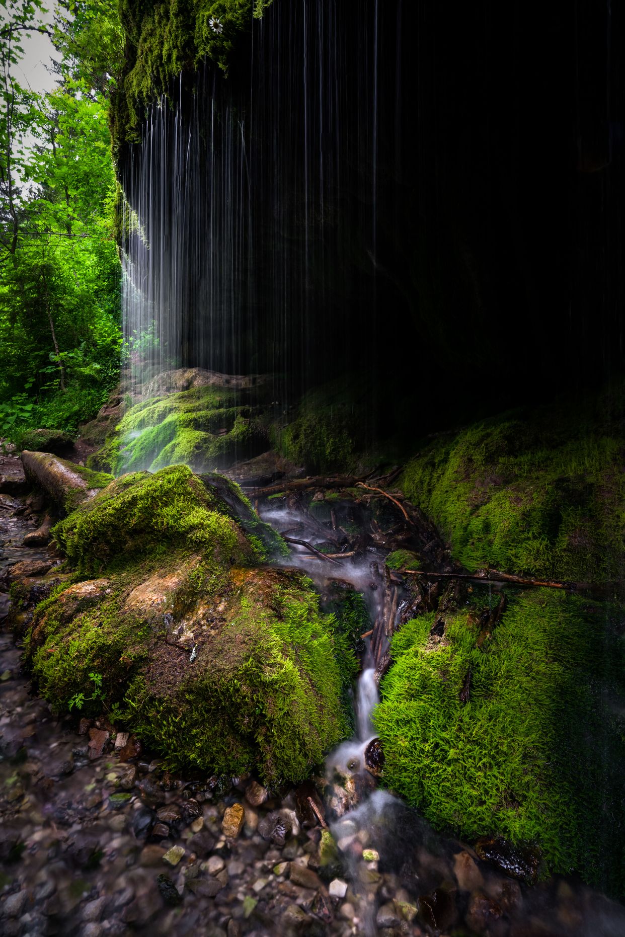 Wutach Gorge