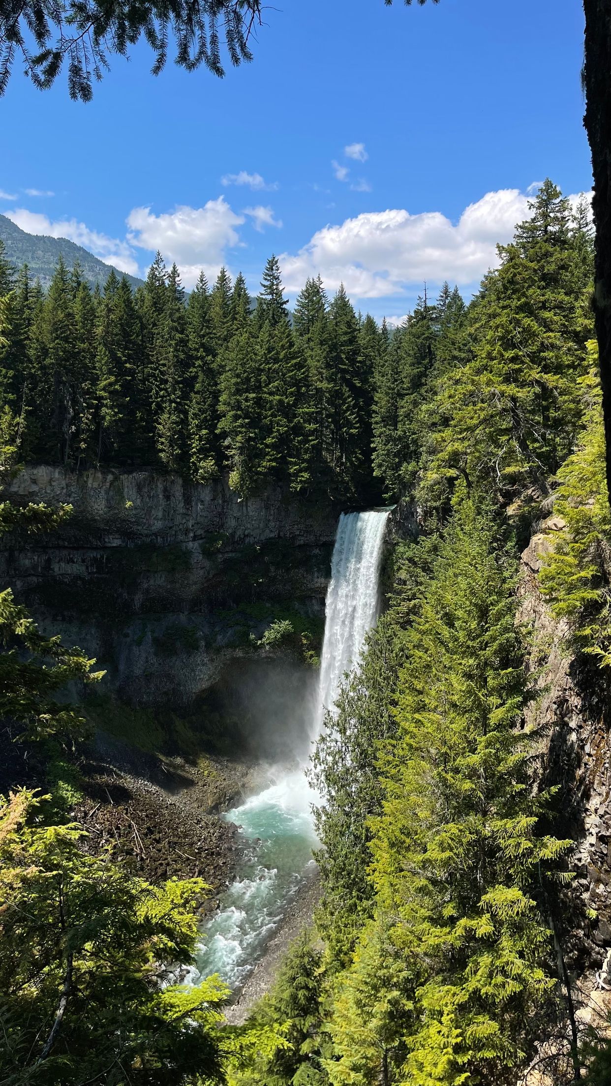 Brandywine Falls Lookout