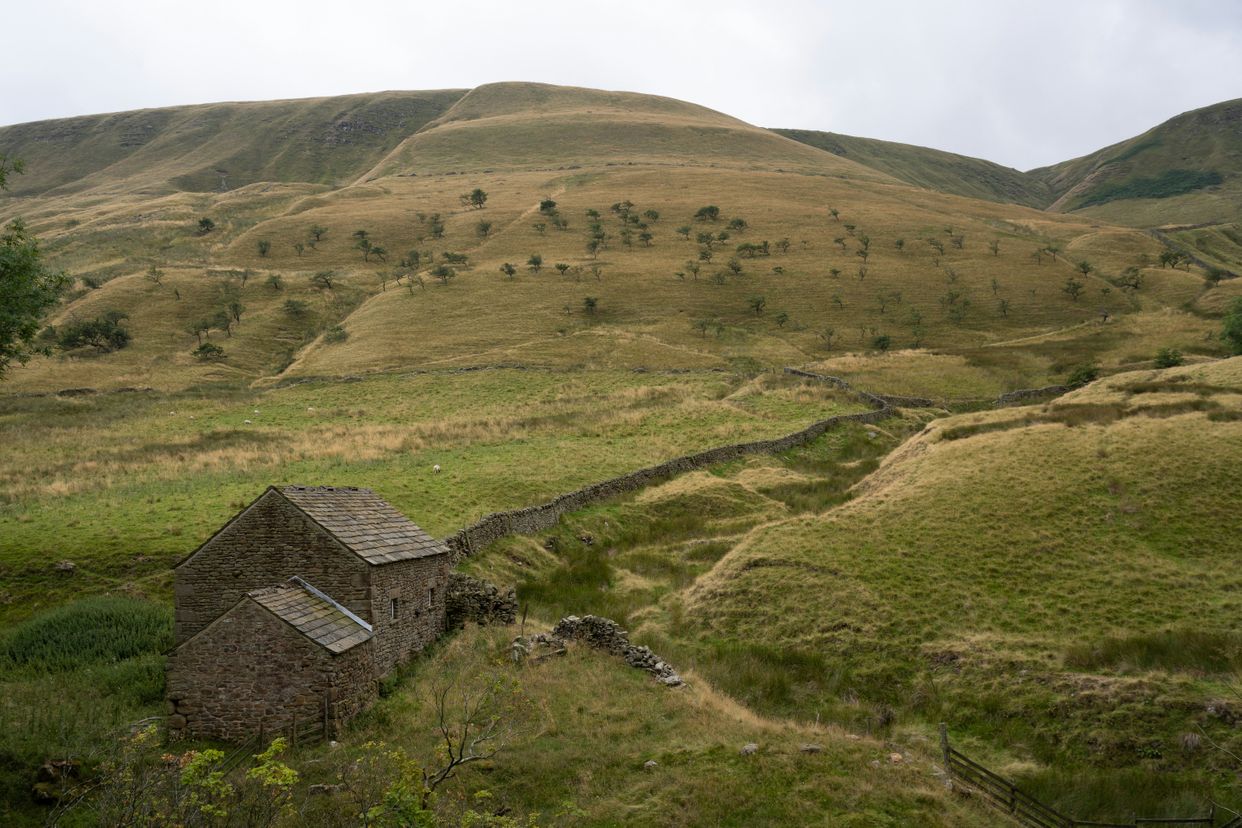 Derelict Stone Cottage