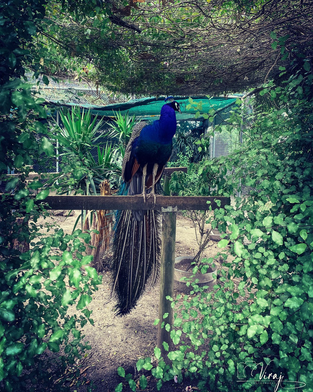 Melbourne Zoo