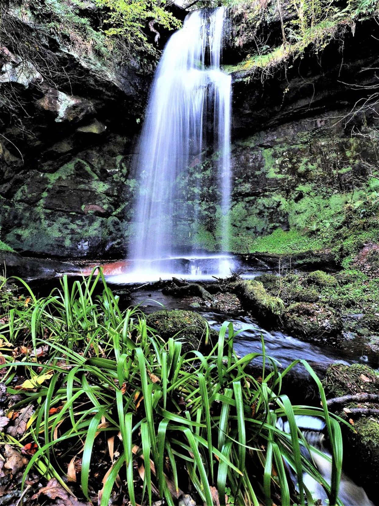 Biglees Waterfall