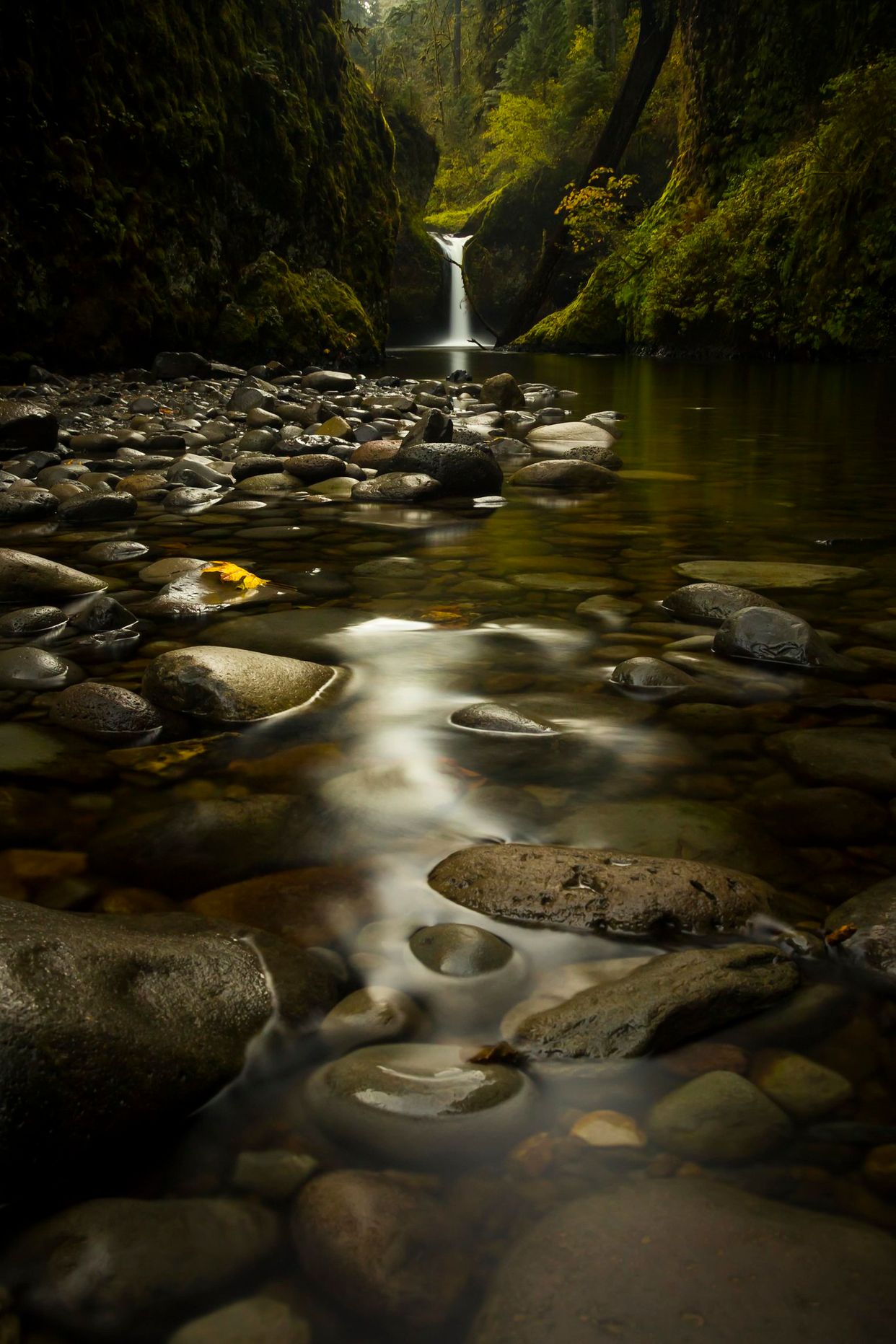 Punch Bowl Falls