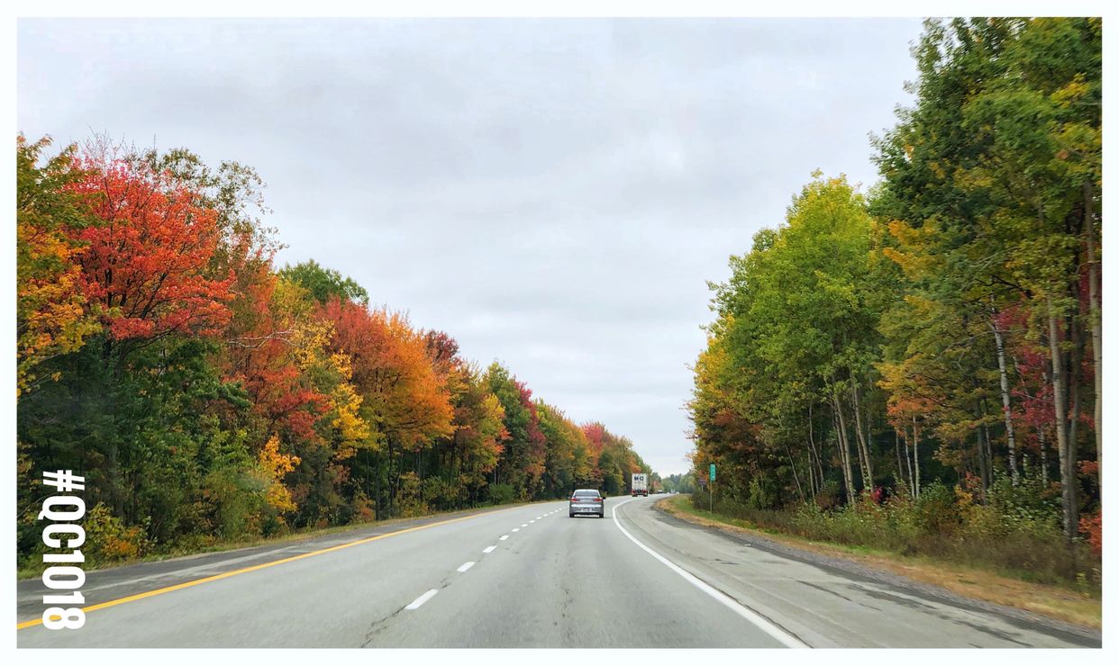 Autoroute Félix-Leclerc View