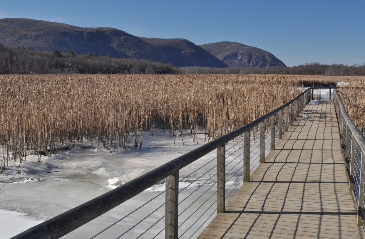 Constitution Marsh Boardwalk