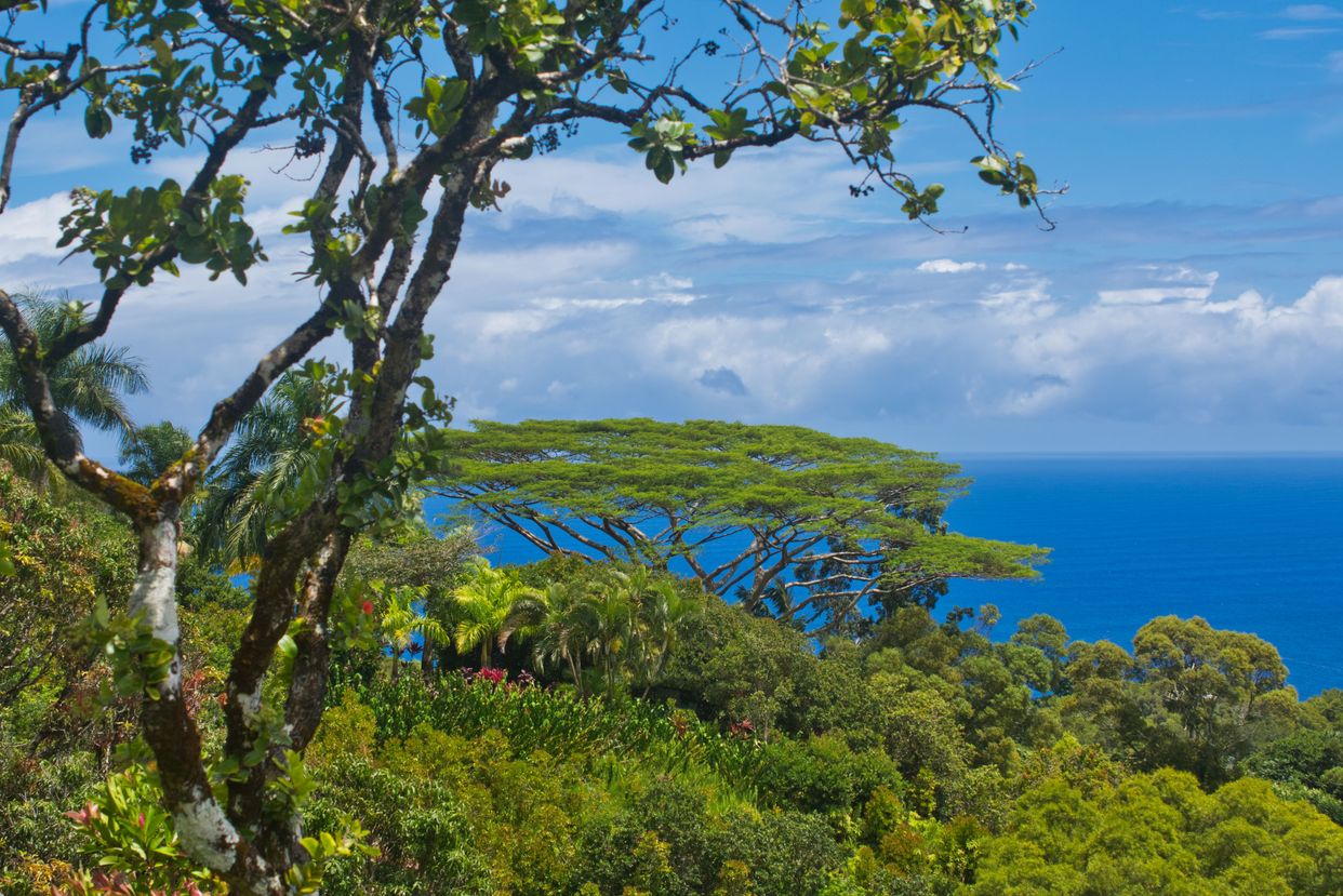 Garden of Eden Arboretum