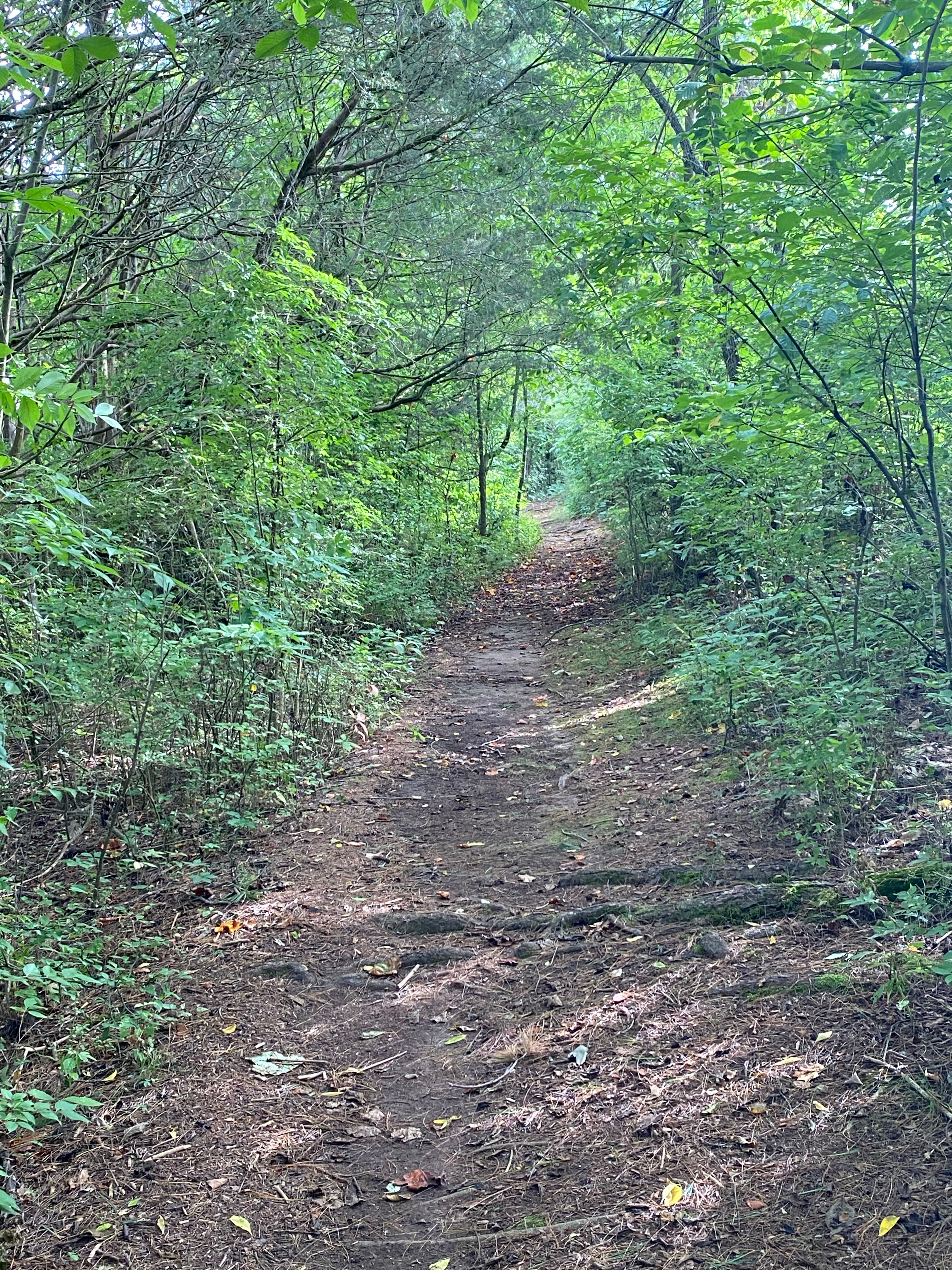 Athens Regional Park — Photo by ericstevens.me
