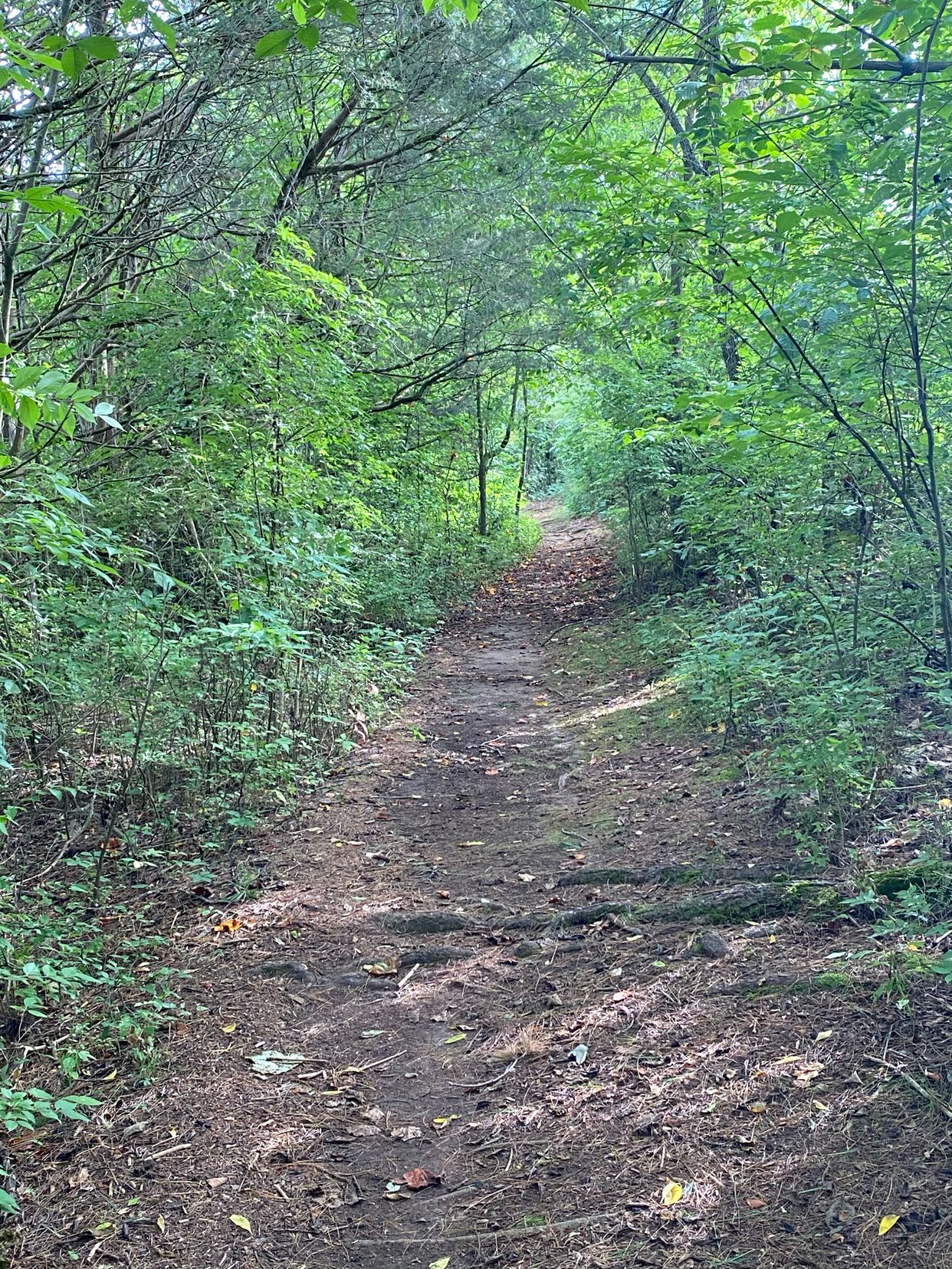 Athens Regional Park