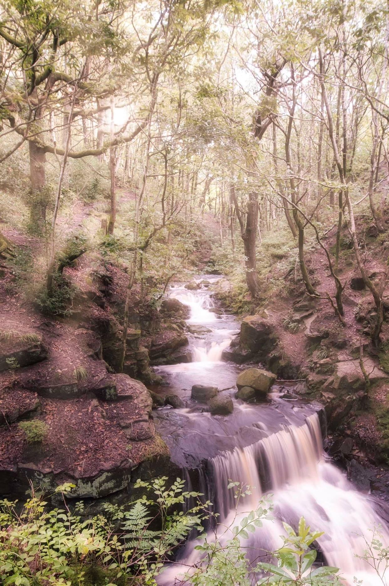 Tiger Clough