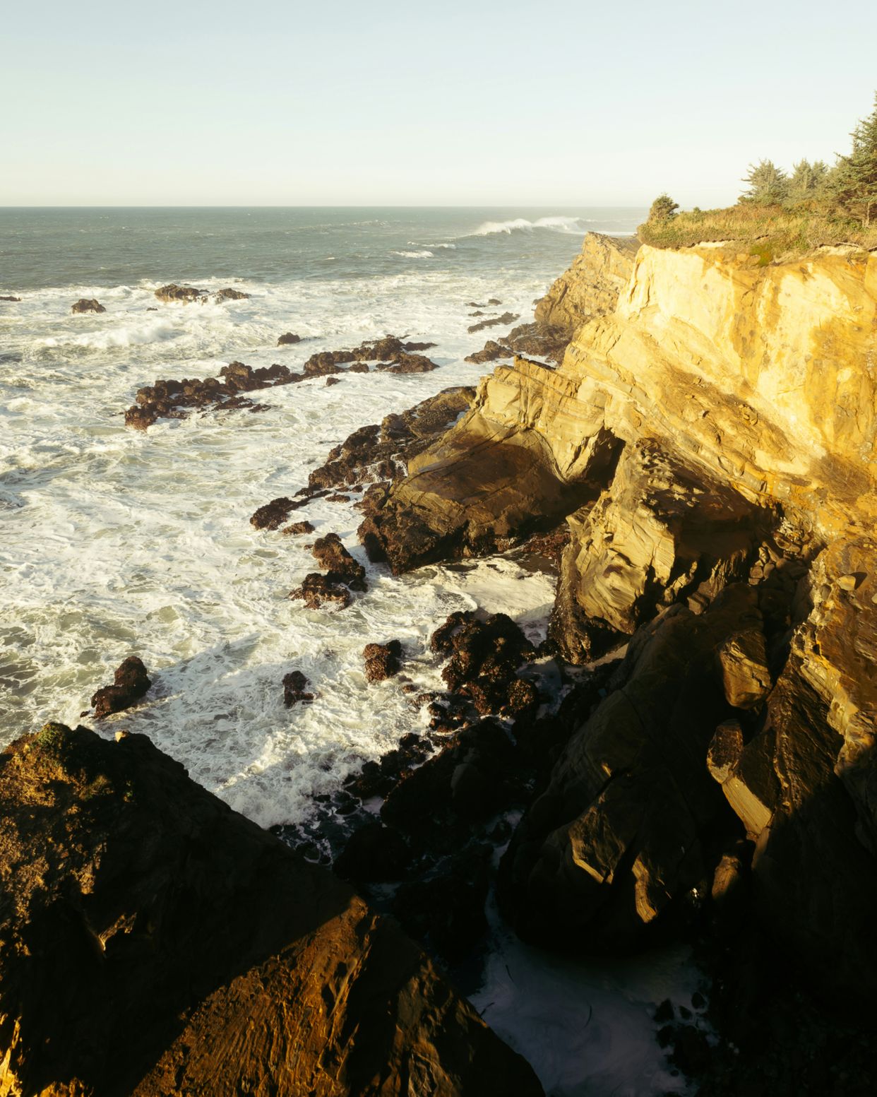 Cape Arago State Park