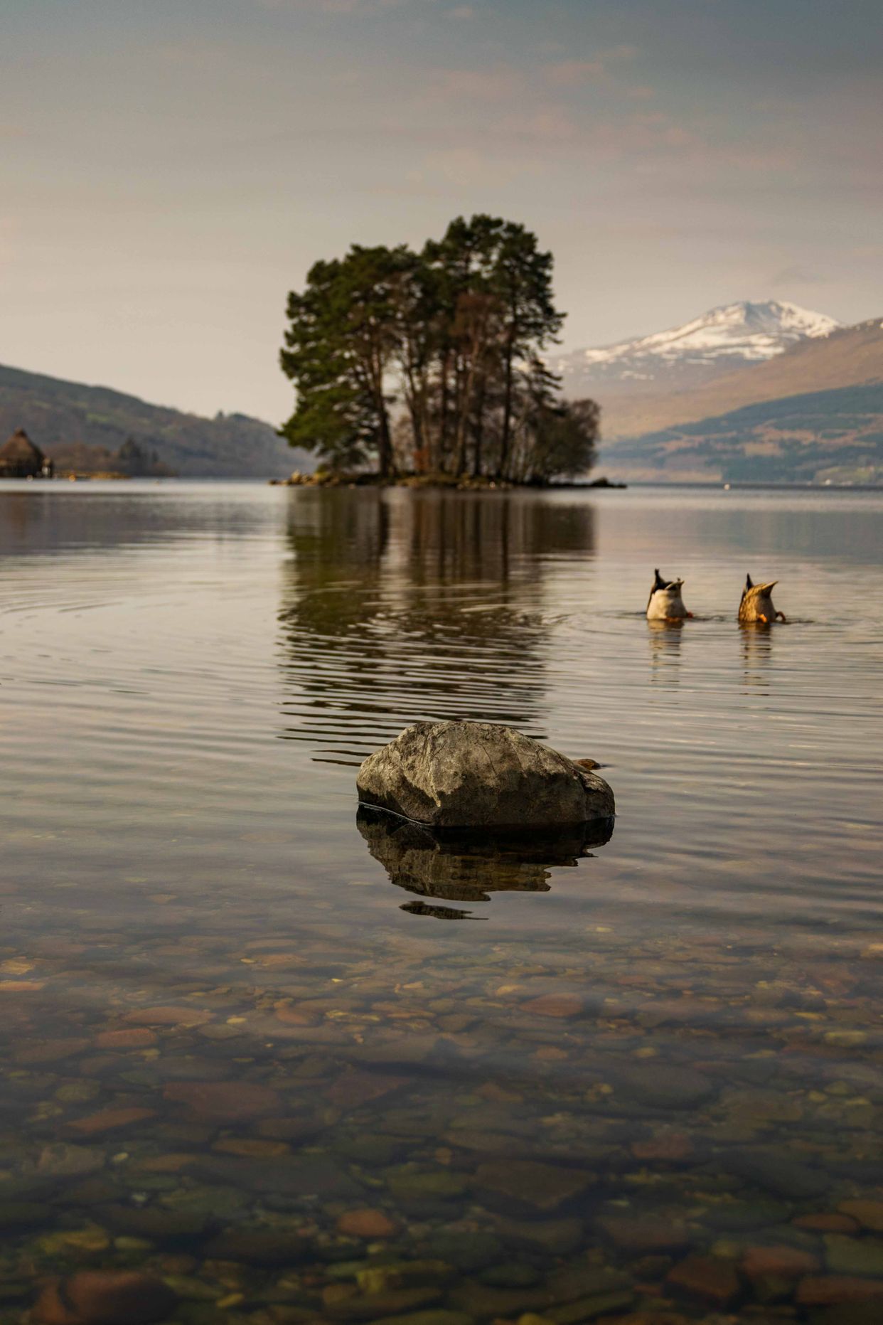 Kenmore Beach 