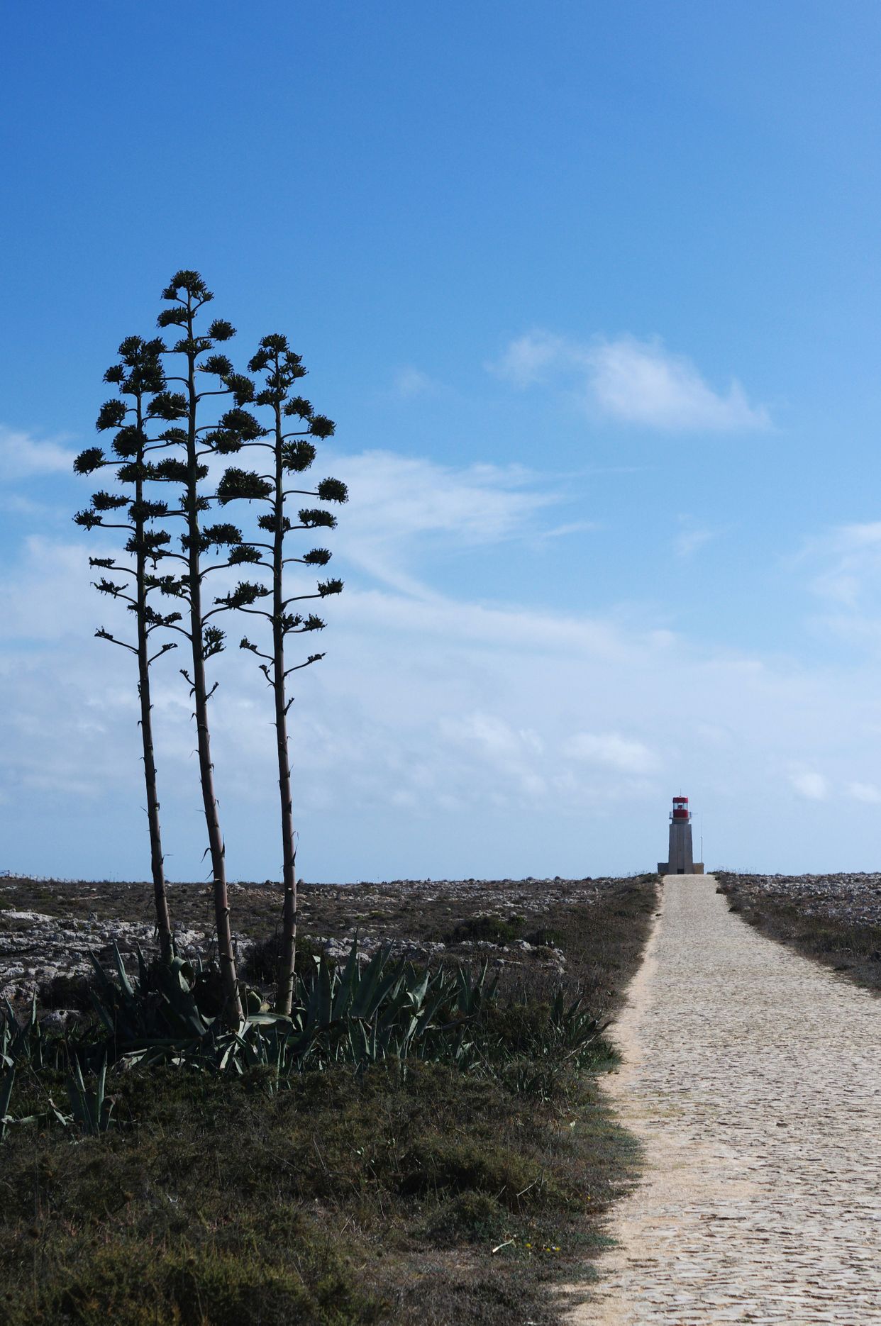 Farol de Sagres