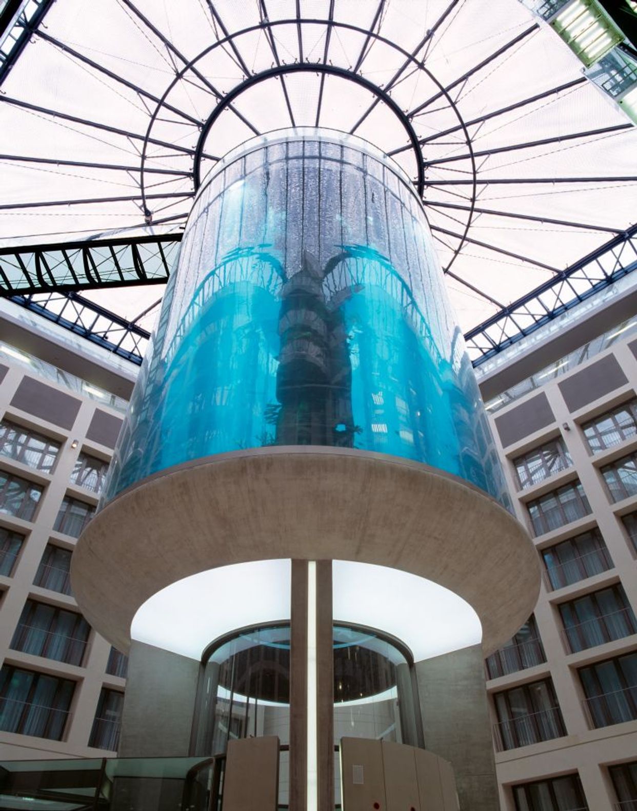 AquaDom