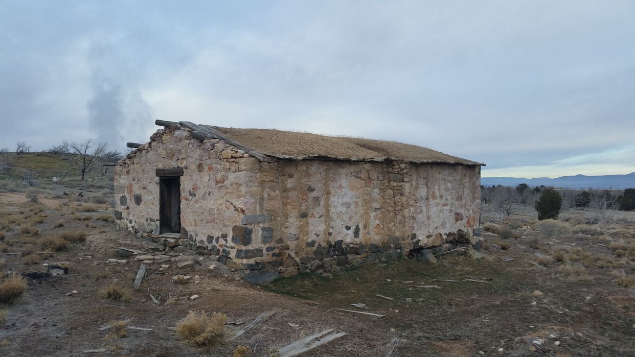Old Cat House