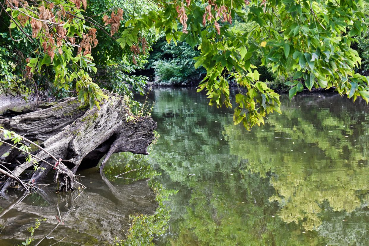 Salt Creek Greenway Trail