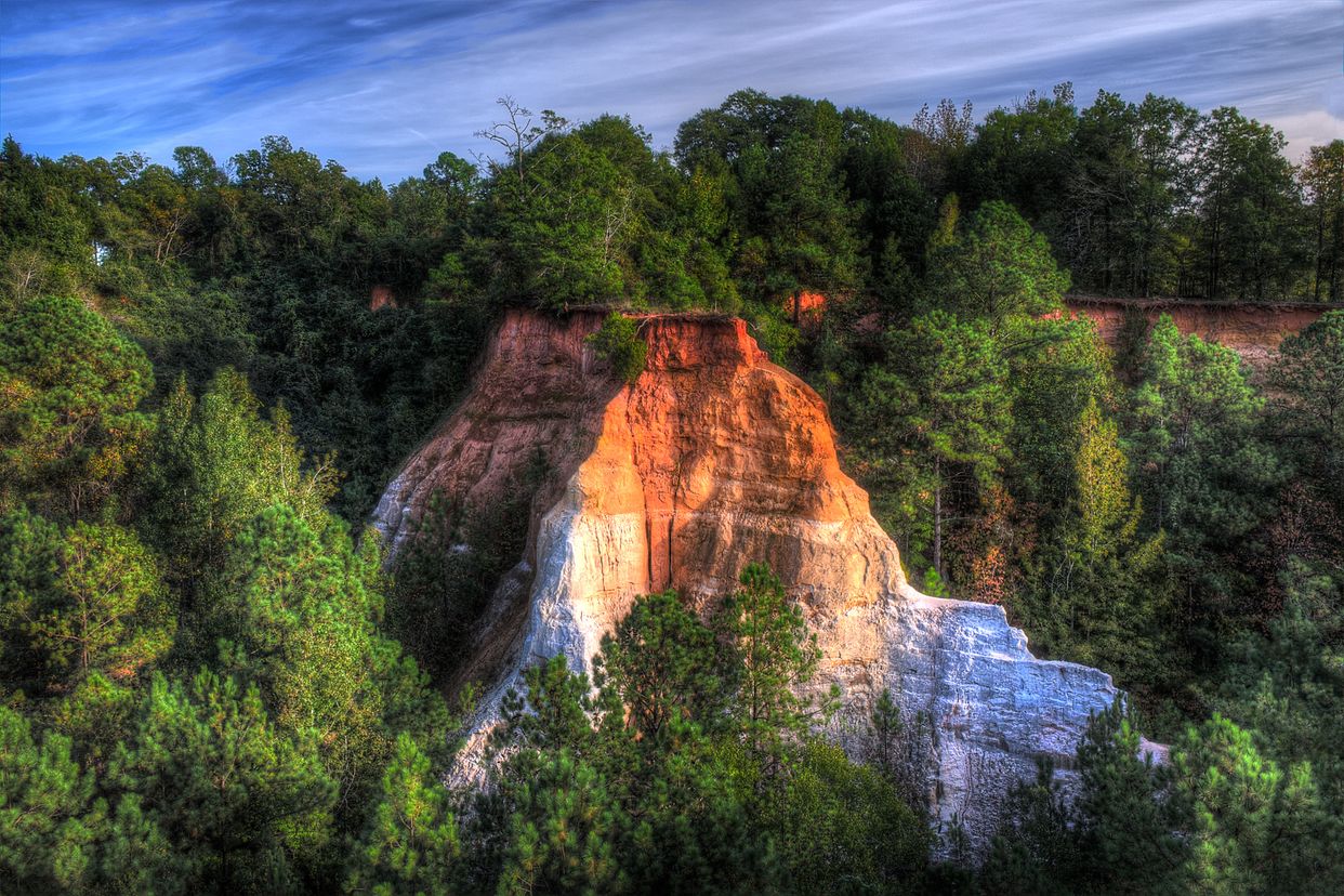 Upper Rim of Providence Canyon 